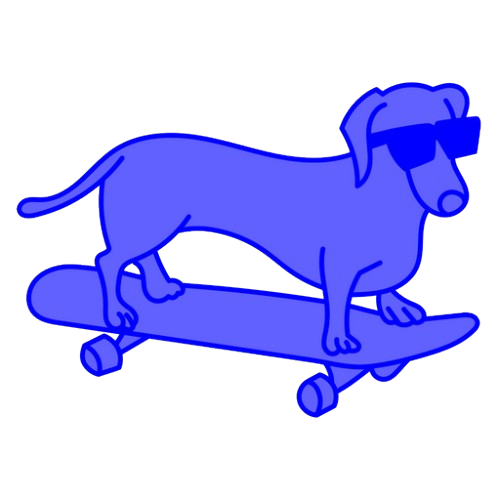 Perro salchicha skater