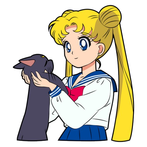 Sailor Moon y Luna