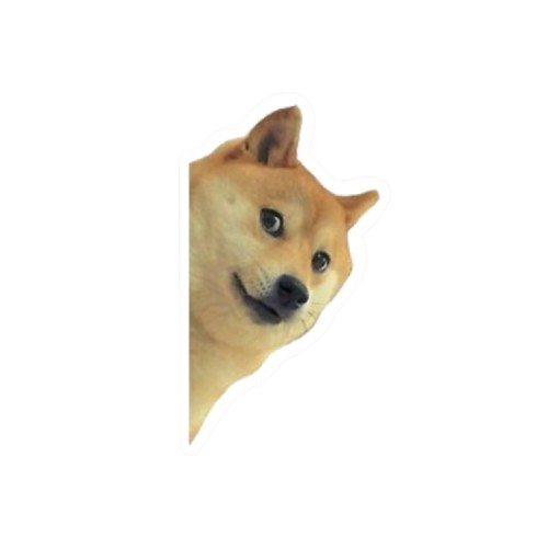 Doge