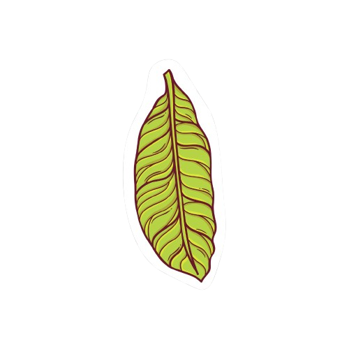 Hoja tropical