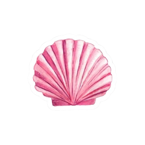 Concha de mar