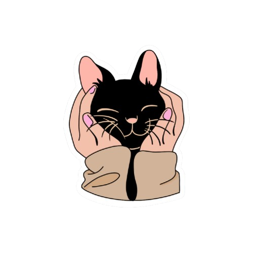 Gato consentido